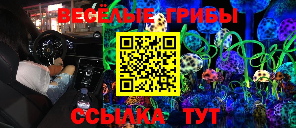 Кинель  Галлюциногенные грибы мухоморы  Вход с VPN 