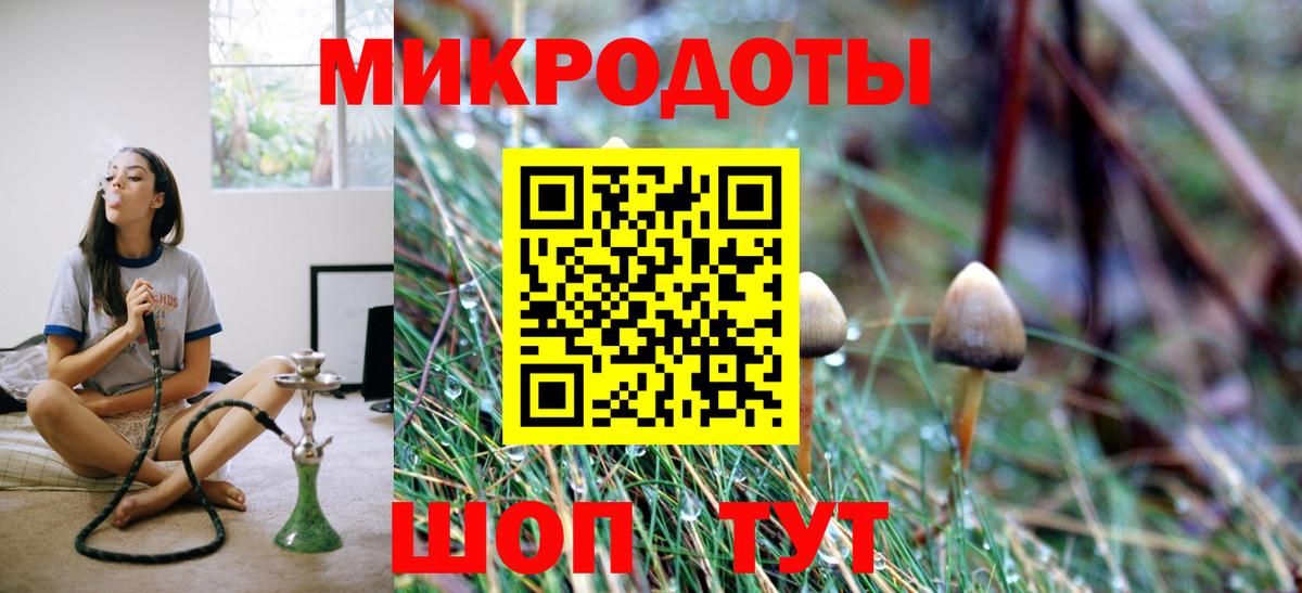 Галлюциногенные грибы прущие грибы Кинель